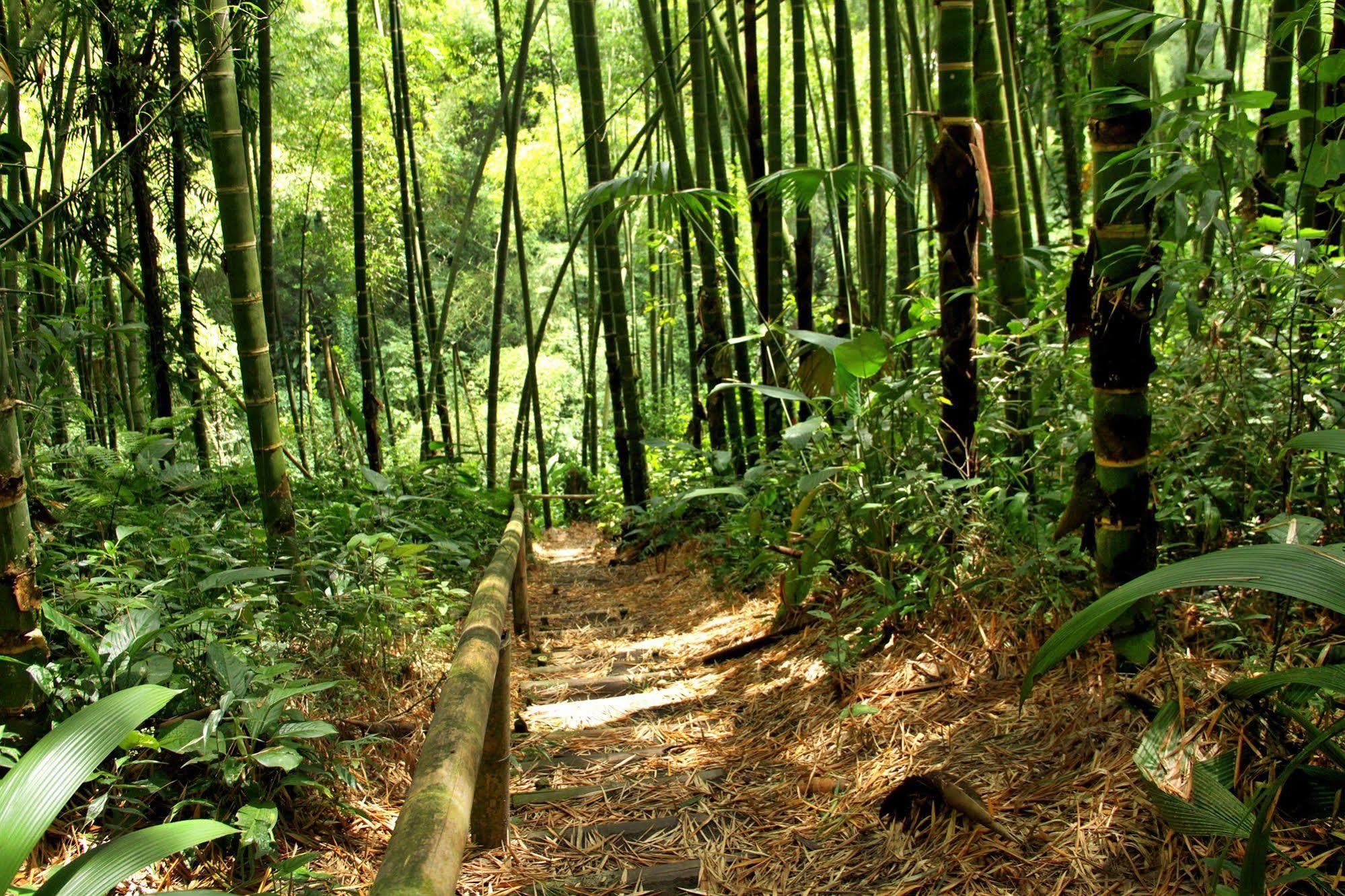 Hotel Campestre La Floresta Puerto Espejo 外观 照片