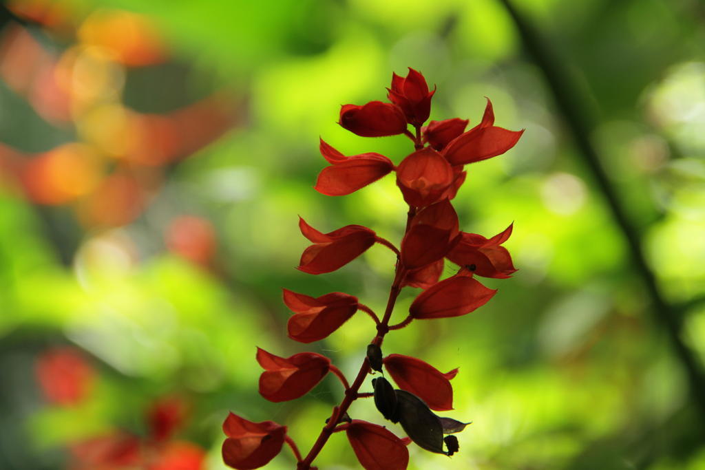 Hotel Campestre La Floresta Puerto Espejo 外观 照片