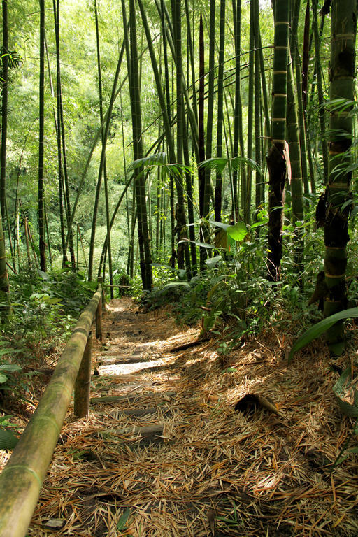 Hotel Campestre La Floresta Puerto Espejo 外观 照片