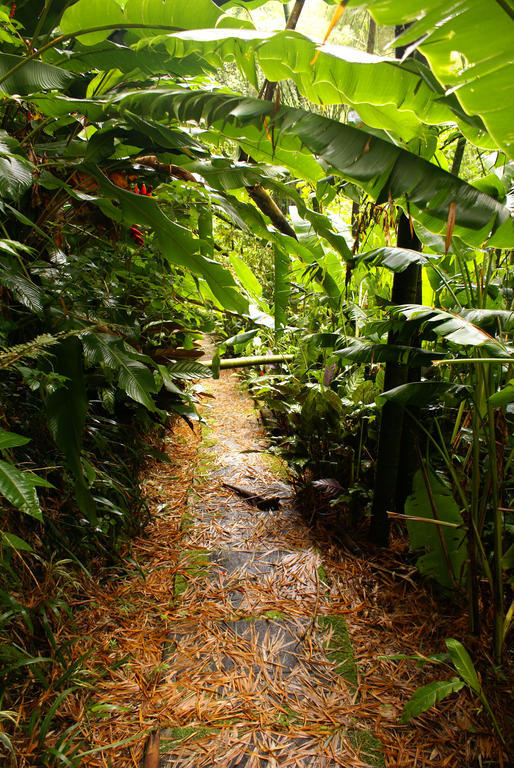 Hotel Campestre La Floresta Puerto Espejo 外观 照片